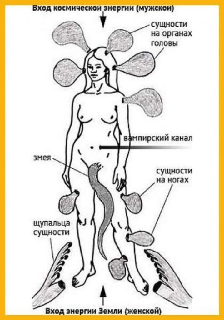 shaman-siberia.com